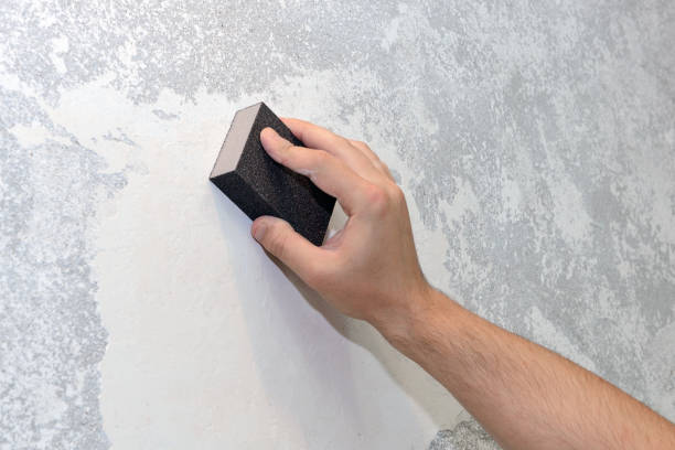 Birmingham, MI Mold Removal Company