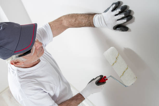 Best Black Mold Removal  in Birngham, MI