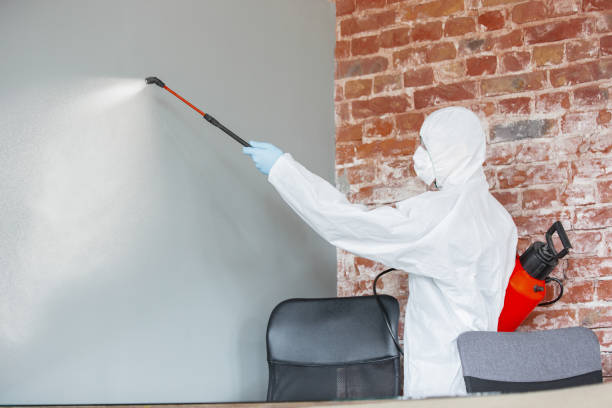 Best Water Damage & Mold Remediation  in Birngham, MI