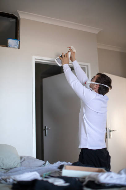 Best Indoor Air Quality Assessment  in Birngham, MI
