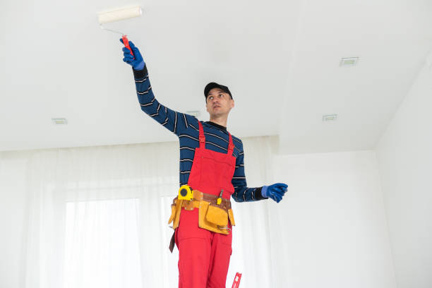 Best Emergency Mold Remediation  in Birngham, MI