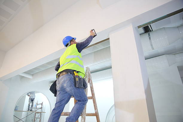  Birngham, MI Mold Removal Pros