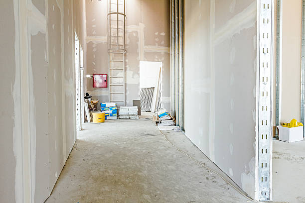Best Forensic Mold Investigation  in Birngham, MI